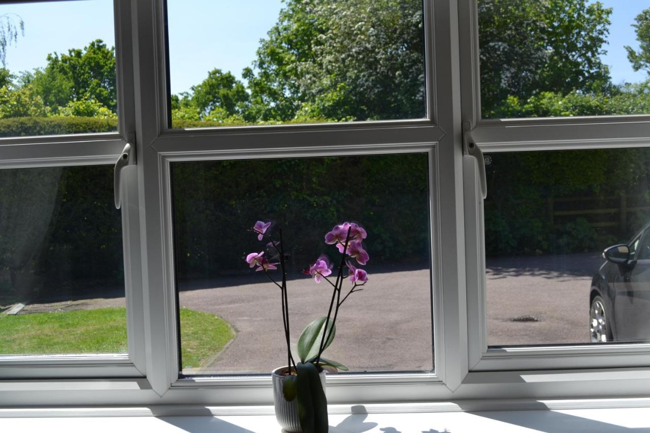 Beautiful Studio In Ely Exteriör bild